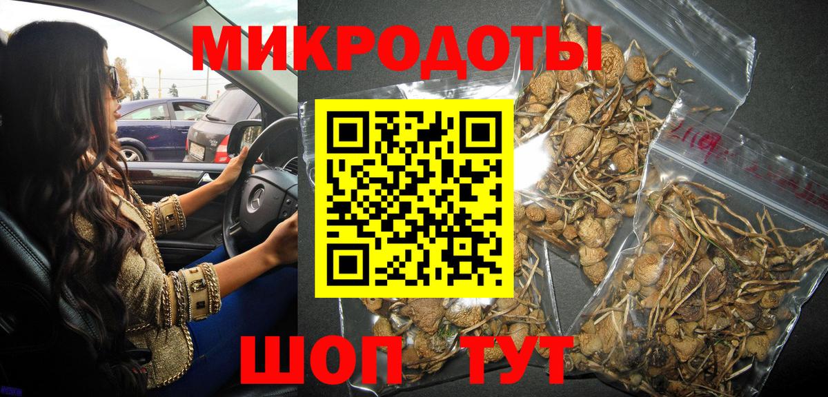 Галлюциногенные грибы Cubensis  Вход с VPN  Кыштым 