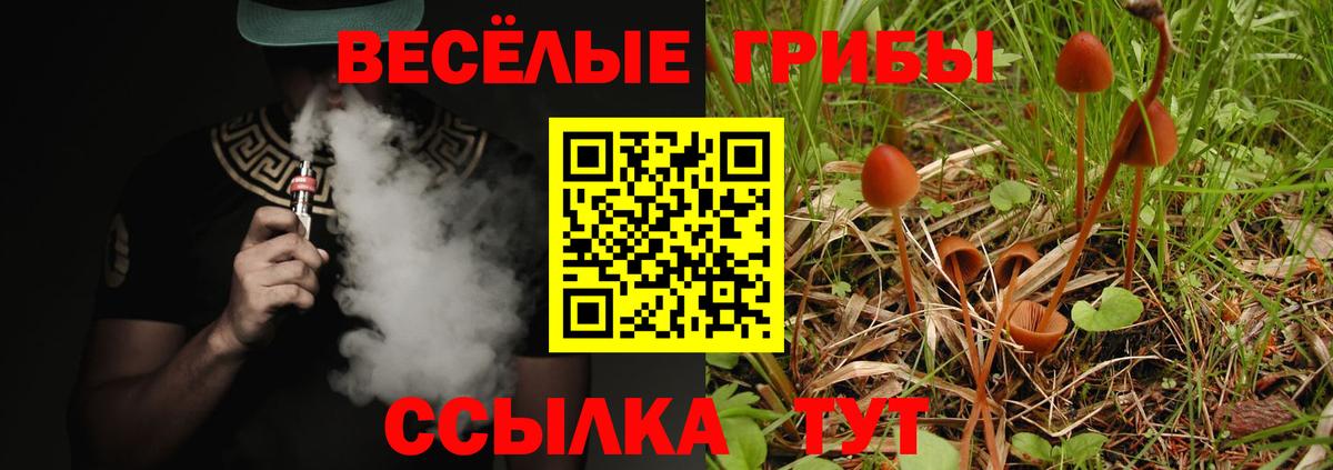 Псилоцибиновые грибы MAGIC MUSHROOMS Кыштым